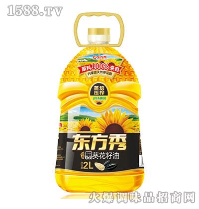 ڿ2L-|