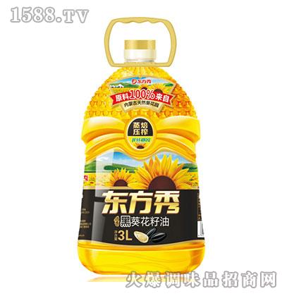 ڿ3L-|