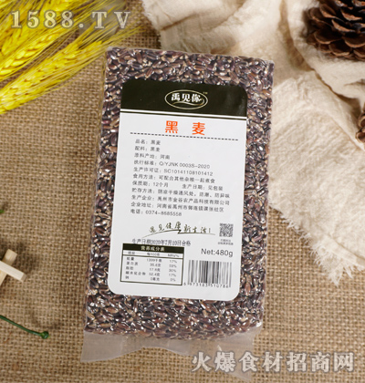 Ҋ480g