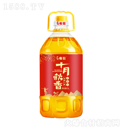  ʮ  ʳ  {ζ5L