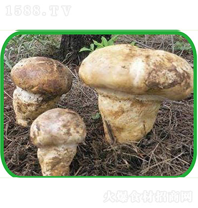  ^