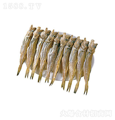  Сظɴ
