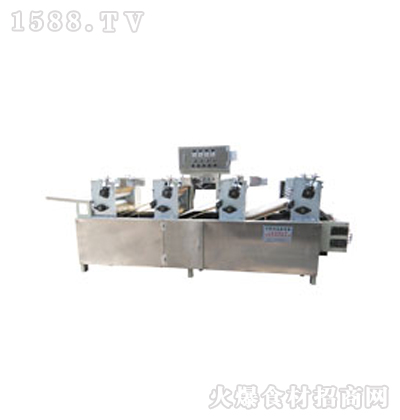 YP450݁׃lC