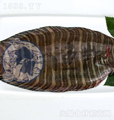 OP ϴ뻨ֽ
