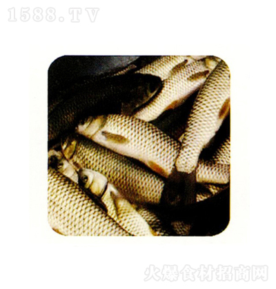 Aˮa ~