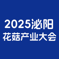 2025ꖻHaI´