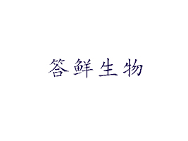 rƼ޹˾