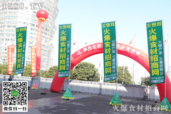 2020ݻʳչ_Ļһʢȴĵ