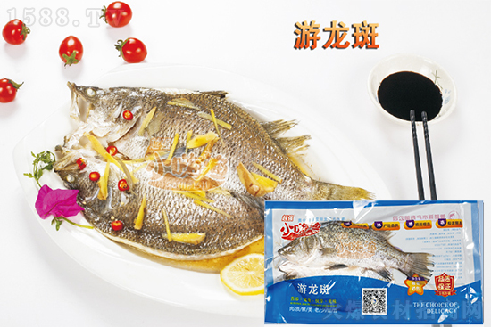 小嗨漁游龍斑,新鮮食材、活魚口感,營養豐富、美味可口!