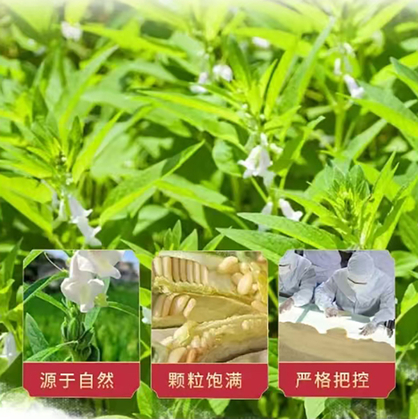  ֥黨u320 xԭ ڸмā ζ ʯĥˇ5